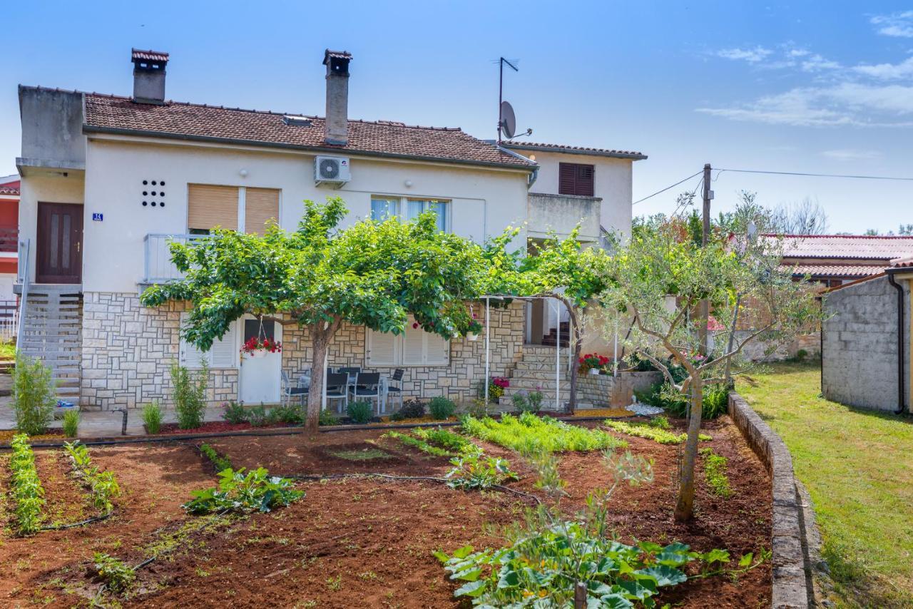 Apartment Tesic Close To The Sea With Shared 4Xbicycles Fažana Εξωτερικό φωτογραφία