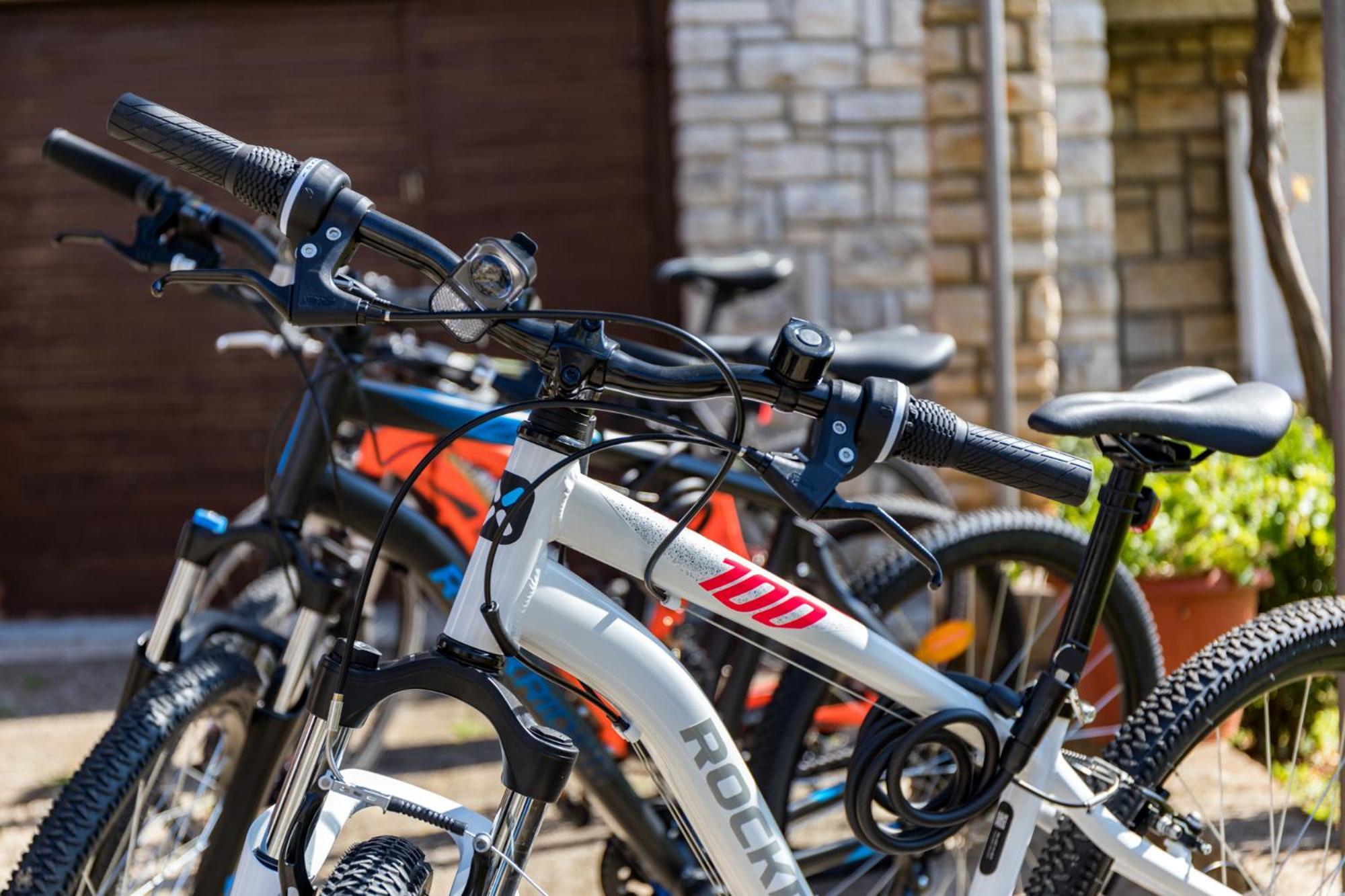 Apartment Tesic Close To The Sea With Shared 4Xbicycles Fažana Εξωτερικό φωτογραφία