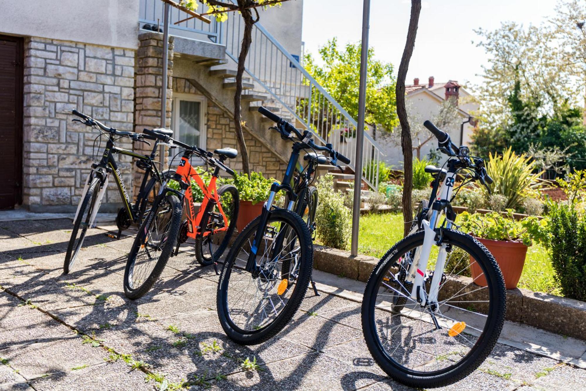 Apartment Tesic Close To The Sea With Shared 4Xbicycles Fažana Εξωτερικό φωτογραφία