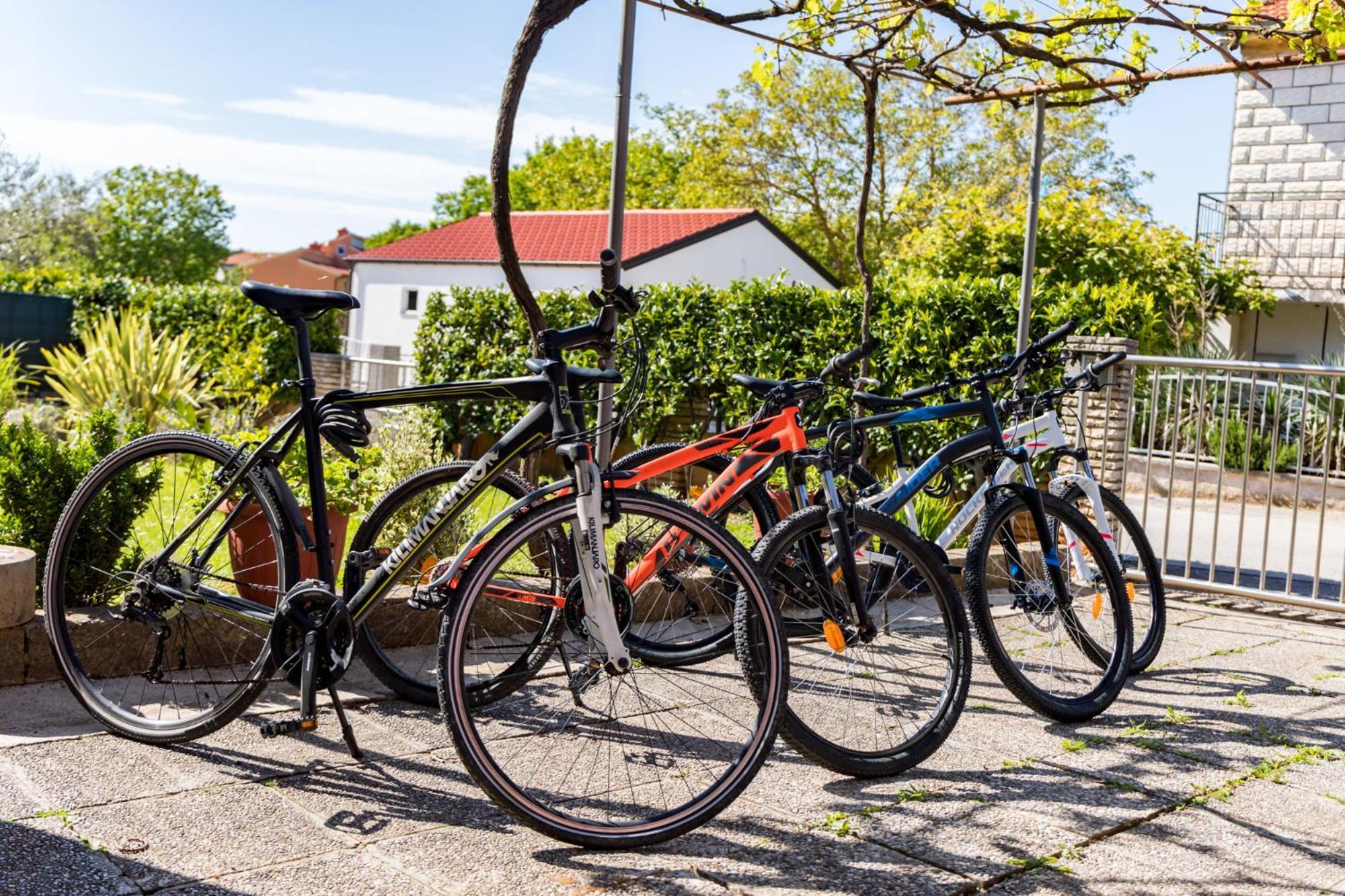 Apartment Tesic Close To The Sea With Shared 4Xbicycles Fažana Εξωτερικό φωτογραφία