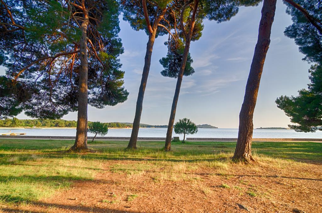Apartment Tesic Close To The Sea With Shared 4Xbicycles Fažana Εξωτερικό φωτογραφία
